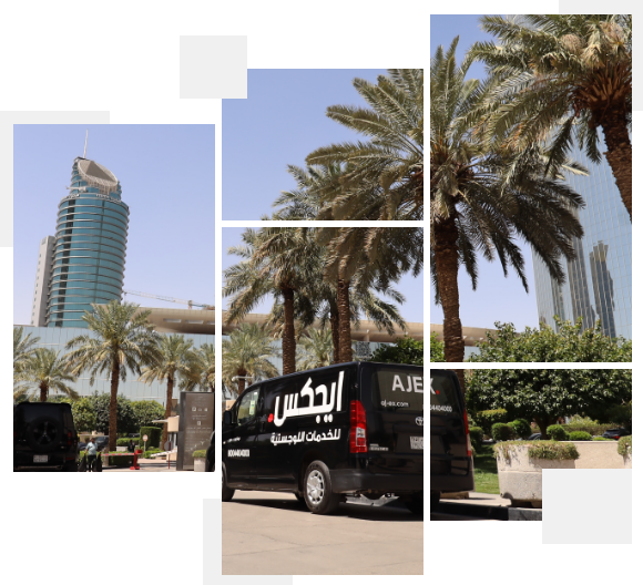 AJEX employee loading the shipemnts in the car